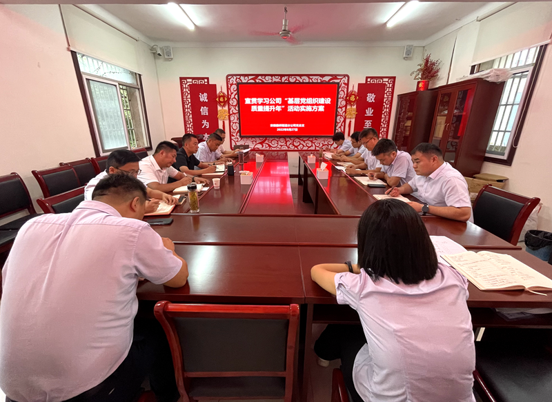 隧道分公司召开“基层党组织建设质量提升年”活动动员部署会